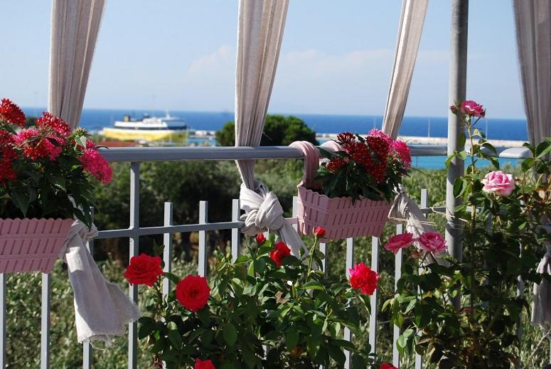 Killini Cottage Studio The Small Cyclades Kastro-Kyllini Dış mekan fotoğraf